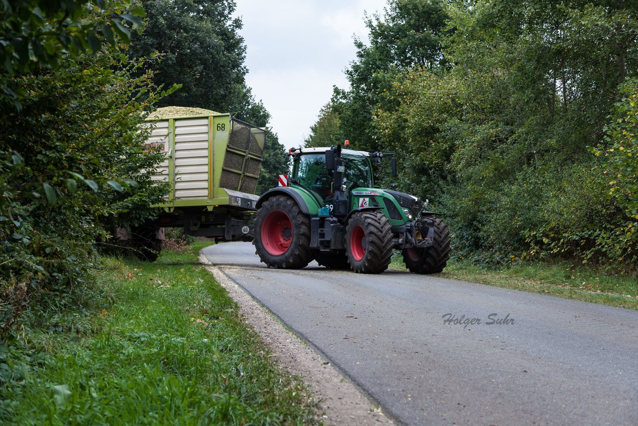 Bild 223 - Maisernte